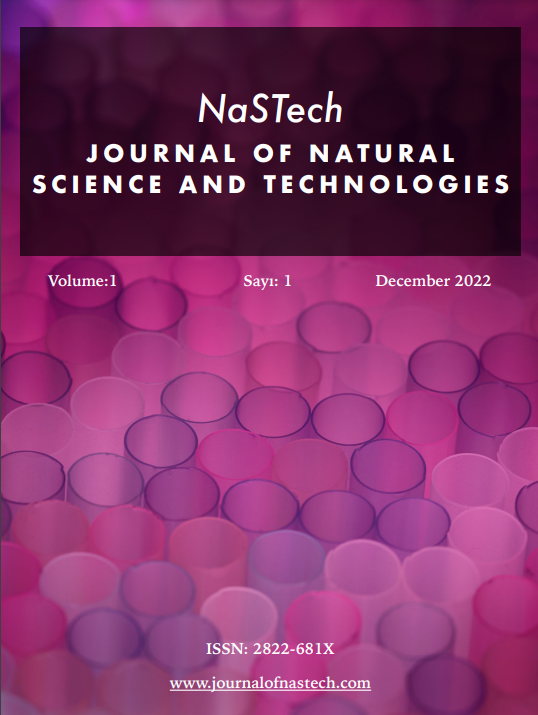 					View Vol. 1 No. 1 (2022): NaSTech
				